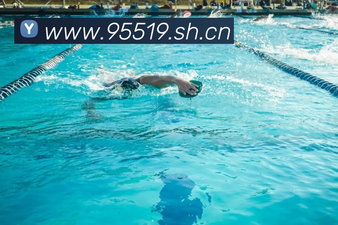 开云app官方在线入口平台生态图